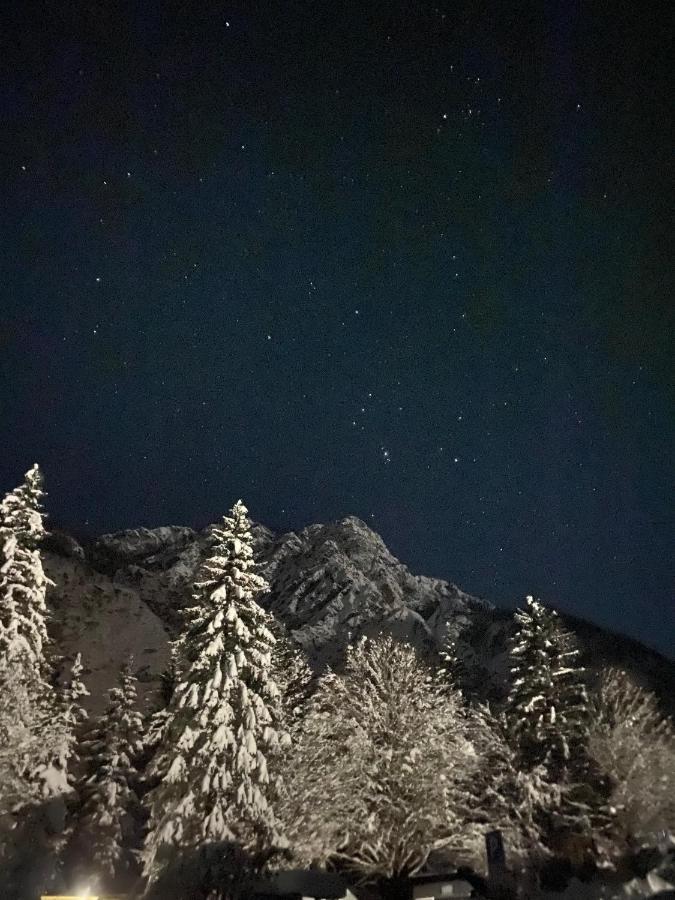 Apartma Rozi Lejlighed Kranjska Gora Eksteriør billede